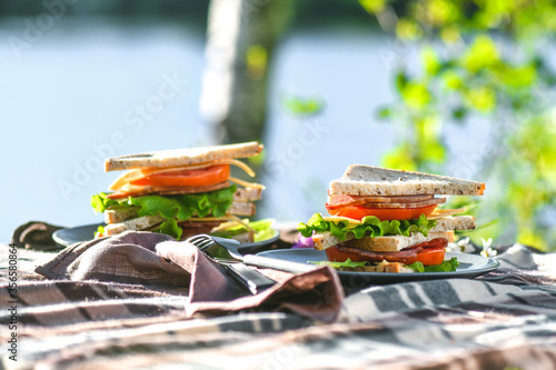 Picnic with sandwiches in park or forest. Toast bread, cheese, ham, sausage, tomatoes, salad leaves. Weekend party, sunny day