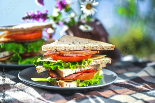 Picnic with sandwiches in park or forest. Toast bread, cheese, ham, sausage, tomatoes, salad leaves. Weekend party, sunny day