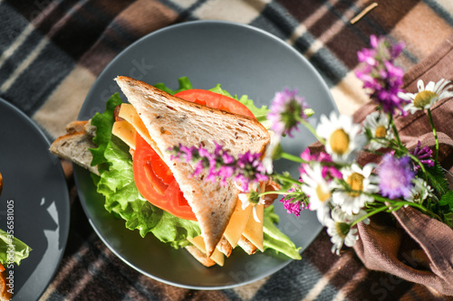 Picnic with sandwiches in park or forest. Toast bread, cheese, ham, sausage, tomatoes, salad leaves. Weekend party, sunny day