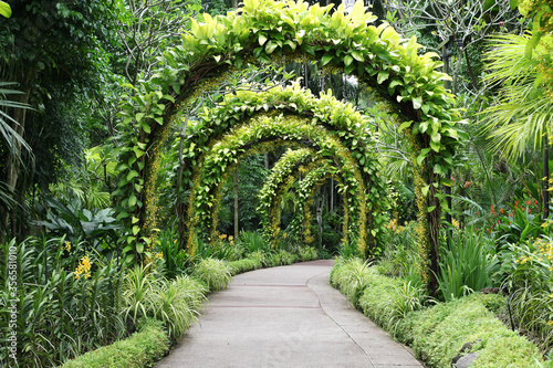 Pathway with archway overhead covered in beautiful yellow orchid flowers