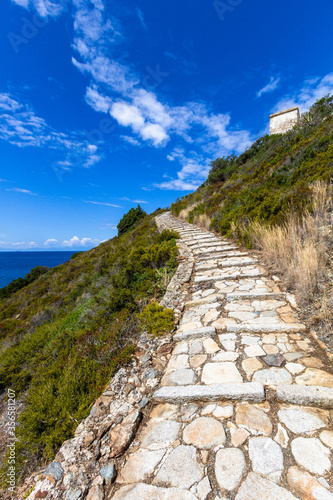 nature around the elba island