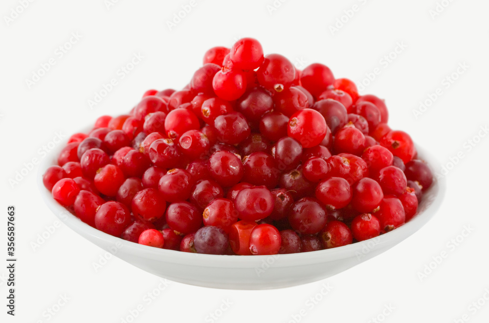 Fresh red cranberries Fresh red cranberries
