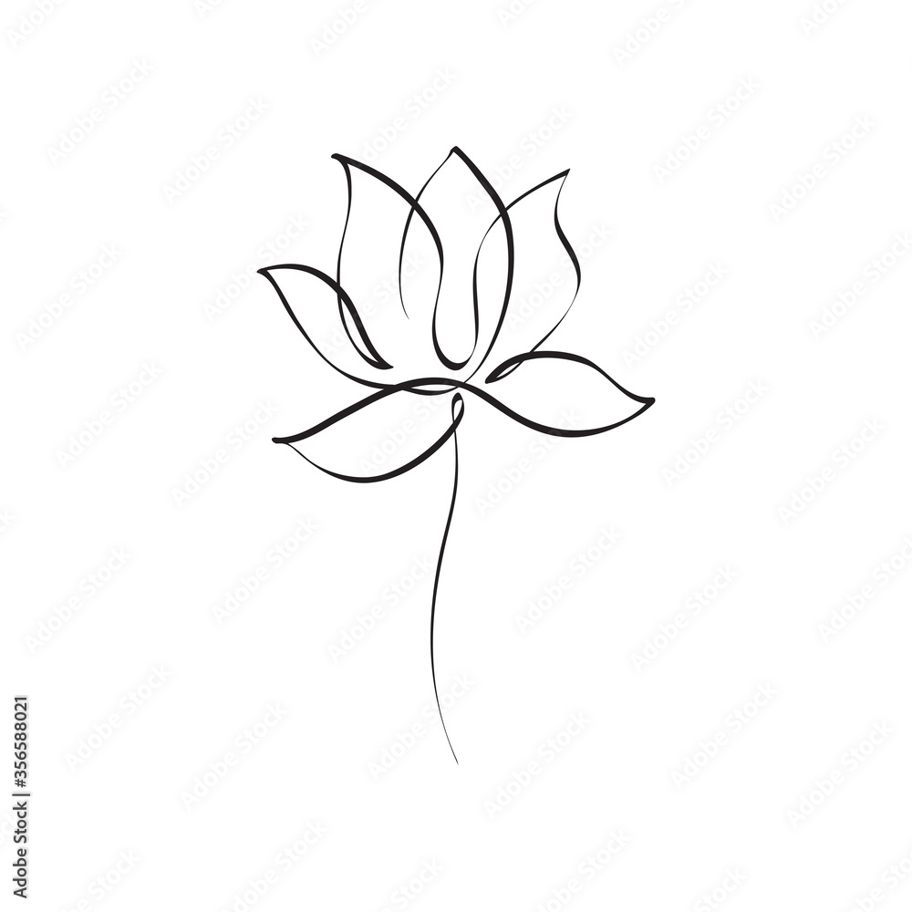 Lotus Flower Line Drawing Vector Best Flower Site