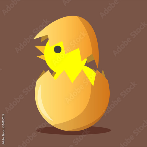 Chicks vector illustration - Birth - Flat design © Grand Reignhart