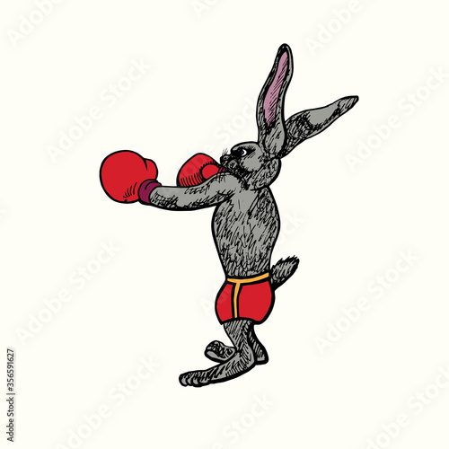 Rabbit (hare) in red boxing gloves standing ready to hit, hand drawn doodle vintage style, sketch, vector illustration