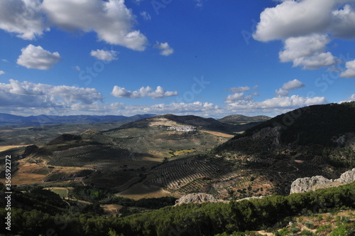 Andalusian landscape, olive- and almond-trees, near Moclín, Montes de Granada, Spain © Jan Marot