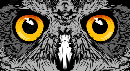 Face owl illustration sketch portrait closeup design vector