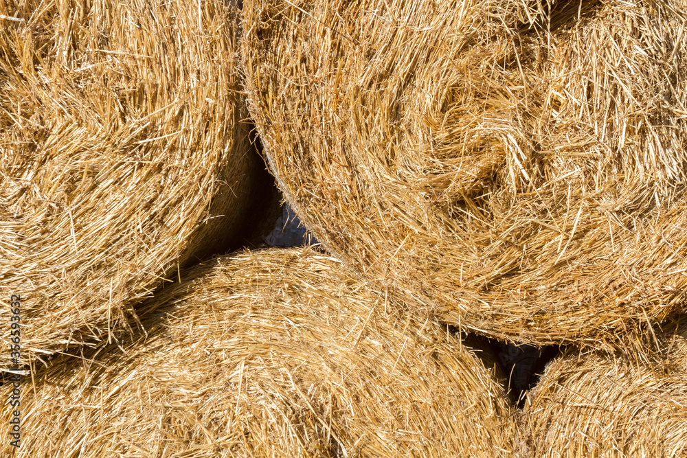 Close up. Raw and organic dry straw bale. Background or texture. Close up. Raw and organic dry straw bale. Background or texture.