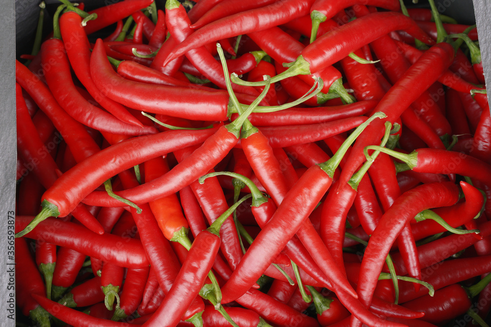 background red hot chili peppers, spice for food	