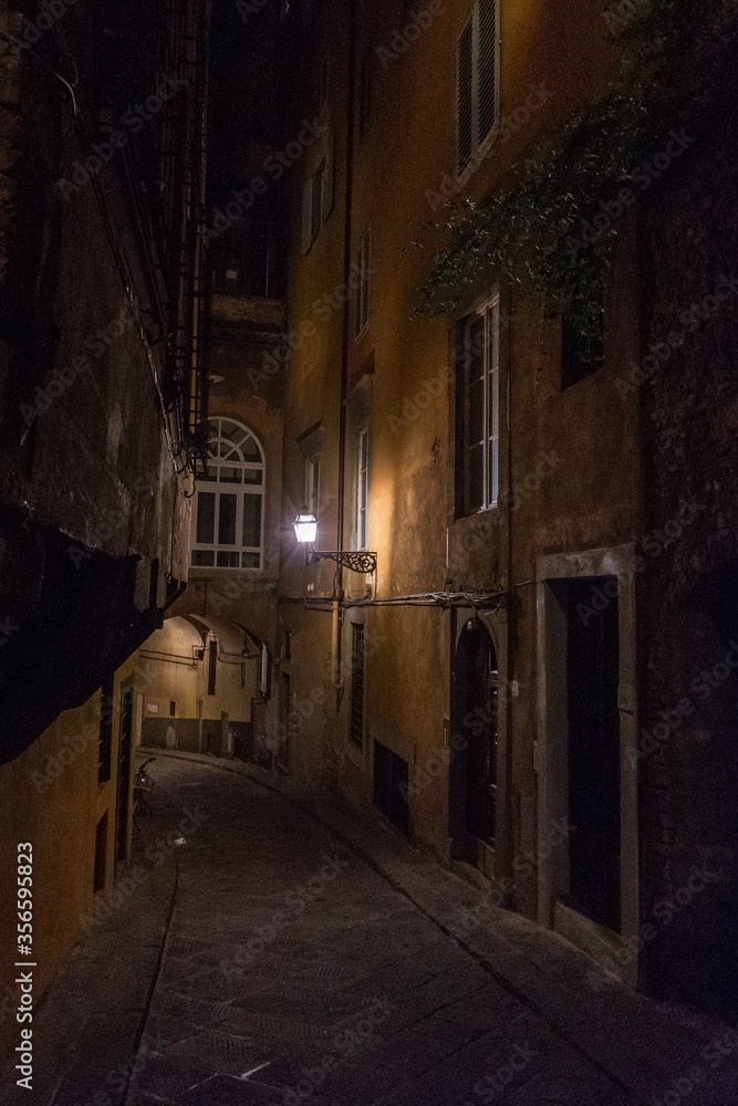 streets and houses of florence at night