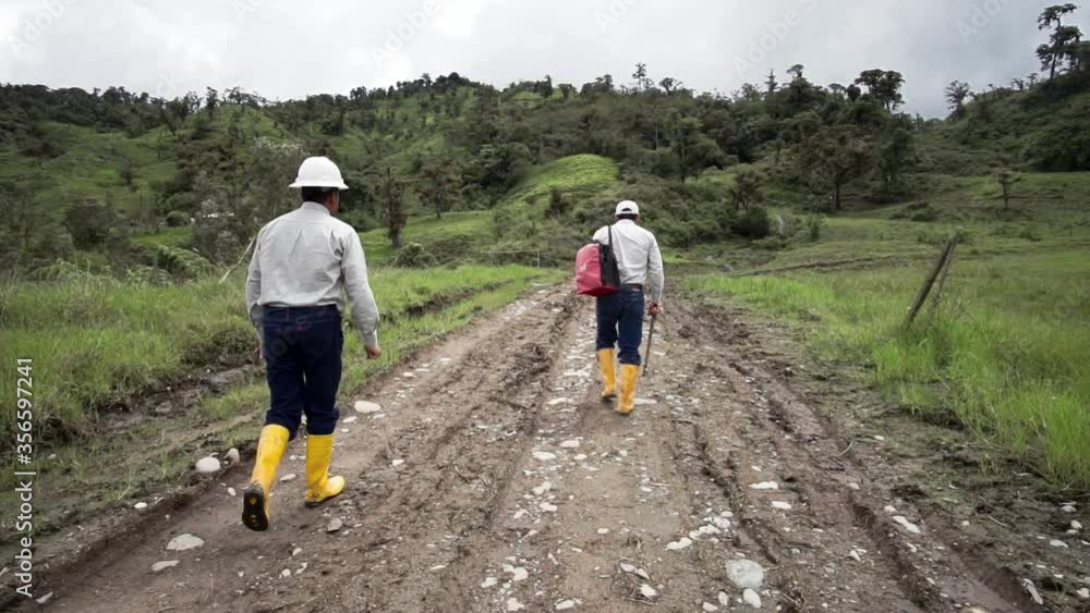 Technician walks with workman through field outside. Back view of professional foreman wearing safety helmet hold backpack while walking on rainforest. Slow motion Technician walks with workman through field outside. Back view of professional foreman wearing safety helmet hold backpack while walking on rainforest. Slow motion