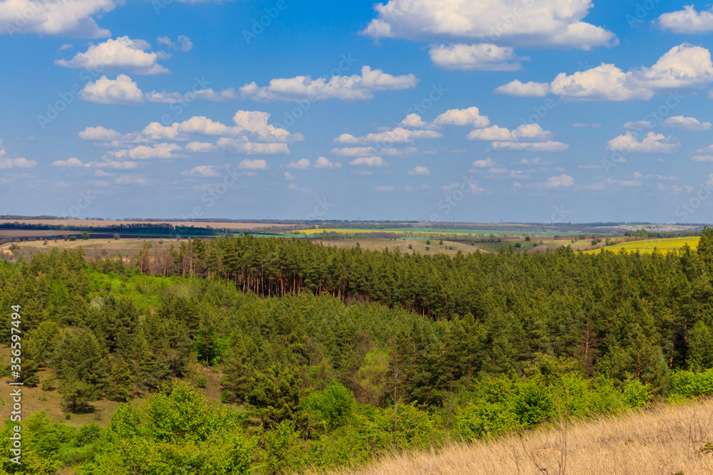 Obraz premium Spring landscape with green trees, meadows, fields and blue sky