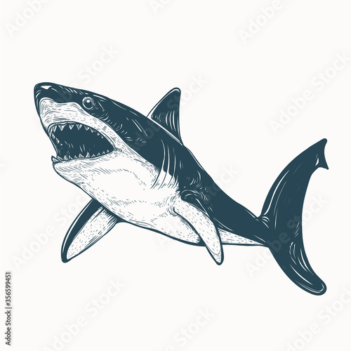 hand drawn shark artwork illustration tattoo design