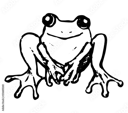 Cute frog, toad, amphibian. Hand drawn vector illustration. Doodle, sketching of wild animals. Black contour drawing isolated on white. Primitive style, single picture for design, print, card, sticker