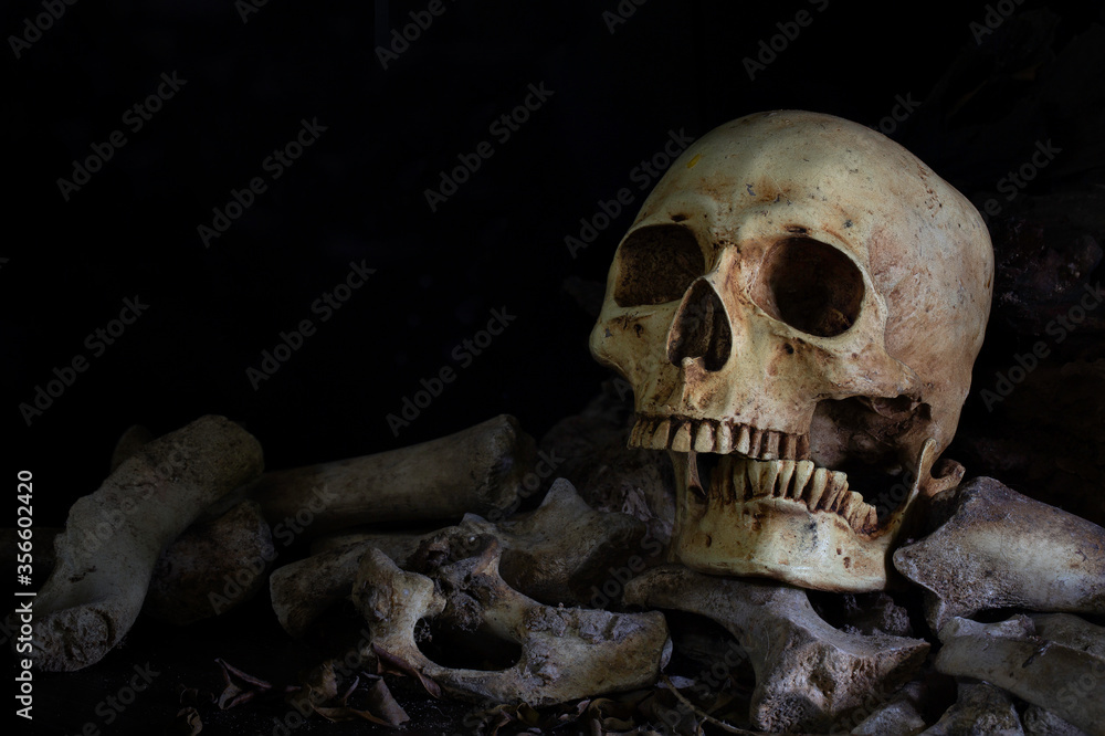 Skulls and bone put on decay timber and dark floor in old room which has dim light and dark background Skulls and bone put on decay timber and dark floor in old room which has dim light and dark background