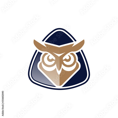  logo shows an owl with a shield background. This logo is good for use as a company logo or business in the defense sector. Or it can also be used as an antivirus application logo. photo