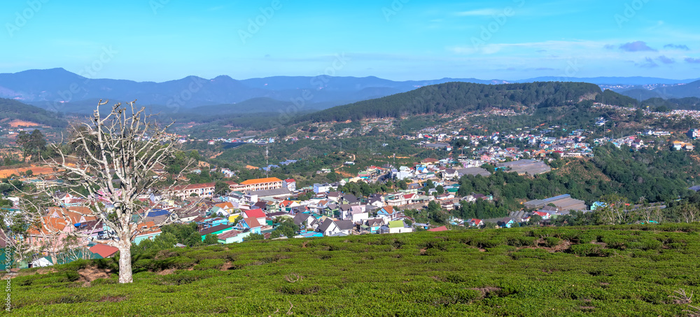 A small town under a tea hill valley in the morning in the highlands of Dalat, Vietnam. The place provides a great deal of tea for the whole country
