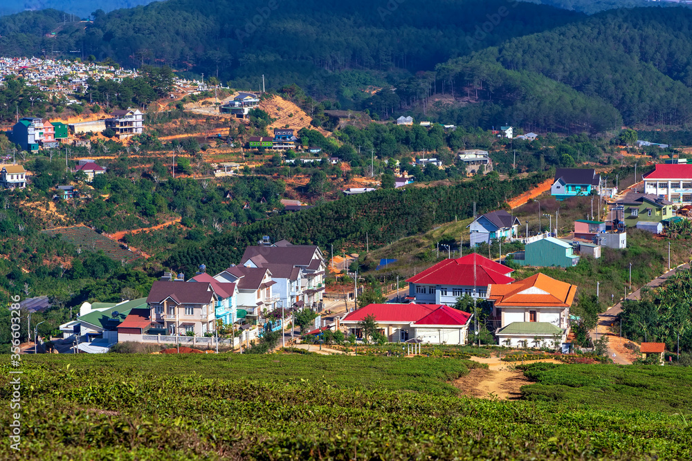 A small town under a tea hill valley in the morning in the highlands of Dalat, Vietnam. The place provides a great deal of tea for the whole country