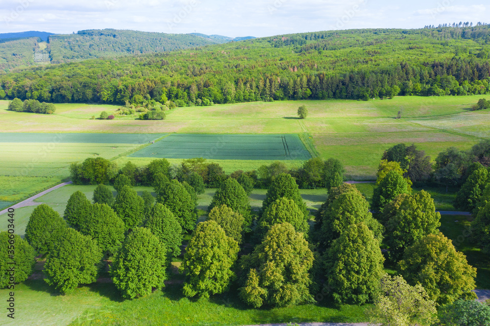 Obraz premium Blick von oben auf eine Waldlandschaft im Taunus/Deutschland