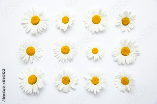 White background with chamomile. Flowers, Texture, nature © Марина Андрейченко
