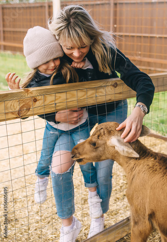 Mother and her child petting miniature elk in a zoo