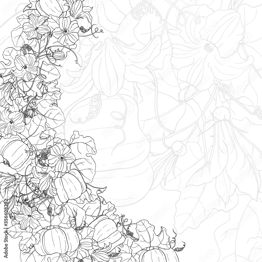 Vector square black and white autumn card. Wave of pumpkins, leaves and flowers. Hand line drawing. Template for Thanksgiving greeting card, Harvest festival invitation. Vector square black and white autumn card. Wave of pumpkins, leaves and flowers. Hand line drawing. Template for Thanksgiving greeting card, Harvest festival invitation.