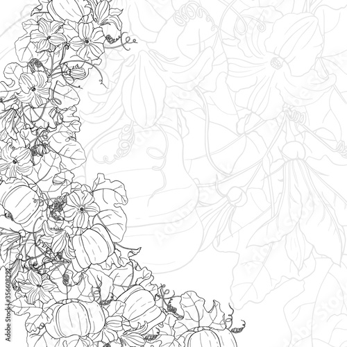 Vector square black and white autumn card. Wave of pumpkins, leaves and flowers. Hand line drawing. Template for Thanksgiving greeting card, Harvest festival invitation.
