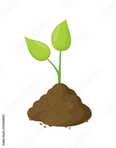 green sprout in ground isolated on white