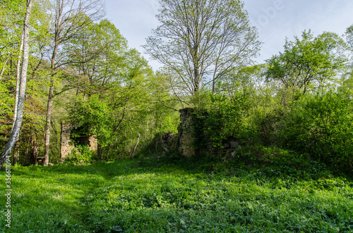 Fototapeta Naklejka Na Ścianę i Meble -  ruiny cerkwi w miejscowości Hulskie Bieszczady