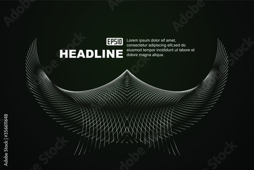 Black and white gray metal silver texture wings flying lines abstract graphics.