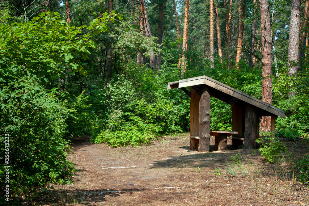 Picnic shed at the edge of the forest. A gazebo for relaxing among the pine trees in the forest. A canopy of wood in the forest on a summer day.