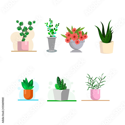 Vector illustration. Set of home plants. Set of flowers in pots of different colors. Isolated elements in flat style to create a design.