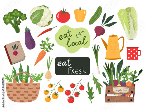 Set of vegetables and garden decor. Eat local, eat fresh. Local organic farm and gardening production. Natural healthy vegetarian products. Flat vector illustration isolated on white background