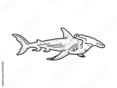 Hammerhead shark sketch engraving vector illustration. T-shirt apparel print design. Scratch board imitation. Black and white hand drawn image.