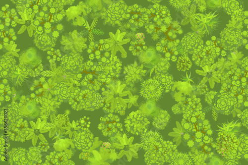 Seamless pattern. Jungle top view. 
Various trees, palm trees and plants. View from above.