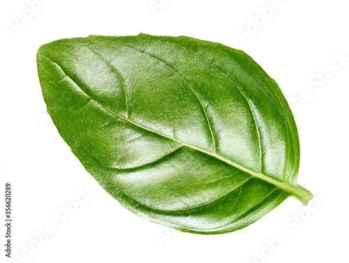 Basil leaf isolated on white background 