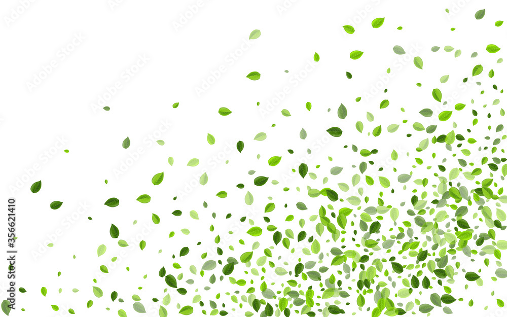 Forest Foliage Falling Vector Brochure. Forest Forest Foliage Falling Vector Brochure. Forest