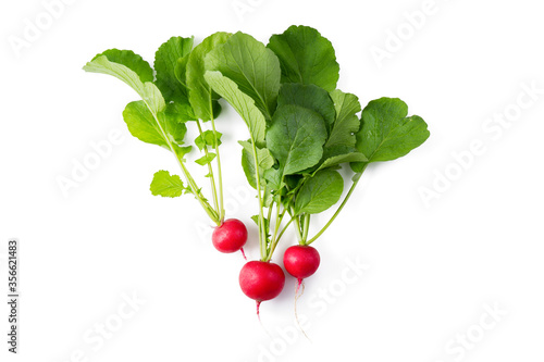 Radish with green leaves isolated on white background