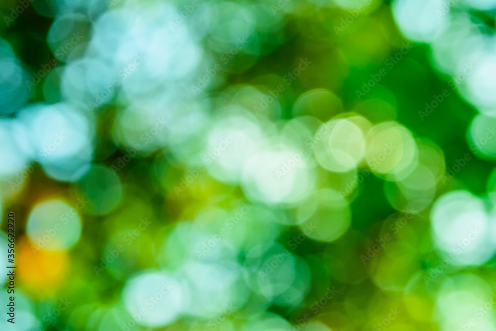 Obraz premium Abstract and defocused bokeh background. Ecological concept