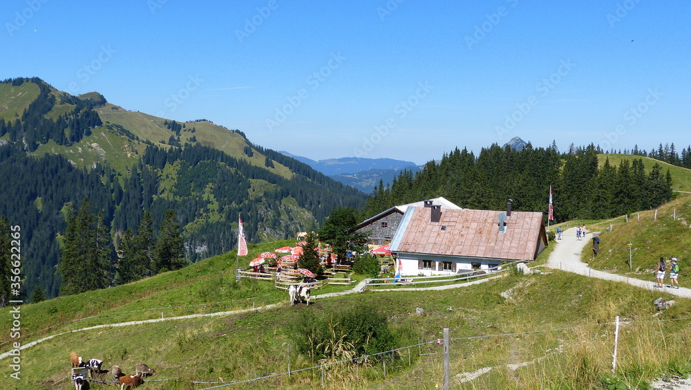 Nesselwängler Edenalpe unterhalb der Krinnenspitze in den Tannheimer Bergen, Österreich