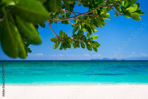 Tropical island nature background