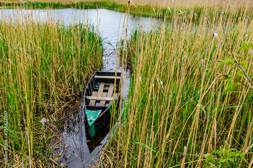 Old boat moored in the thicket of reeds