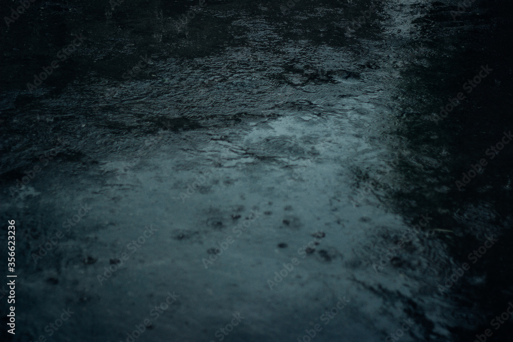 rainy day, raindrops on the asphalt rainy day, raindrops on the asphalt