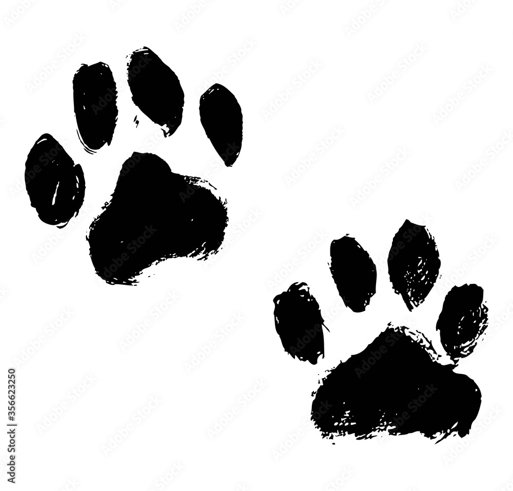 Ink Dog Paw illustration, Cat Paw. Print Vector Stock Vector