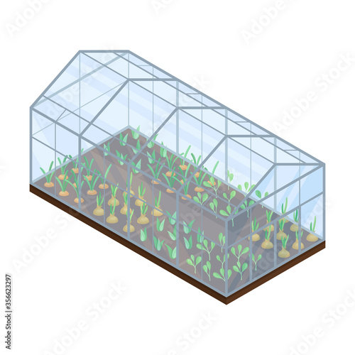 Agricultural Crops or Vegetables Growing on Germination Bed Vector Isometric Illustration