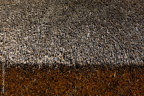 Canvastavla Texture of thatch roof for the background