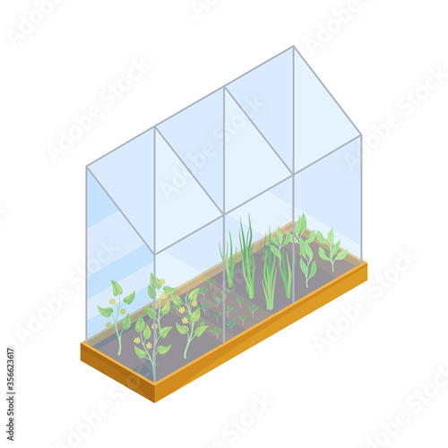 Agricultural Crops or Vegetables Growing on Germination Bed Vector Isometric Illustration