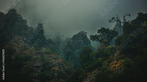 fog in the mountains