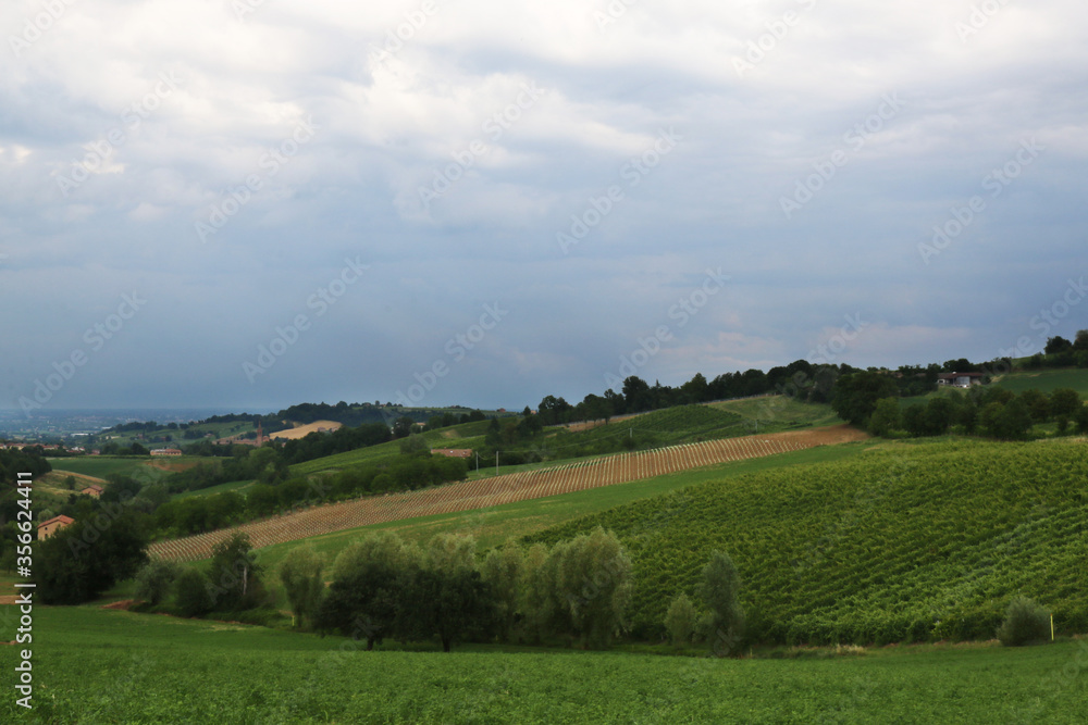 Colline coltivate a vigneti e campi di grano sotto un cielo minaccioso e temporalesco di una calda giornata d’estate