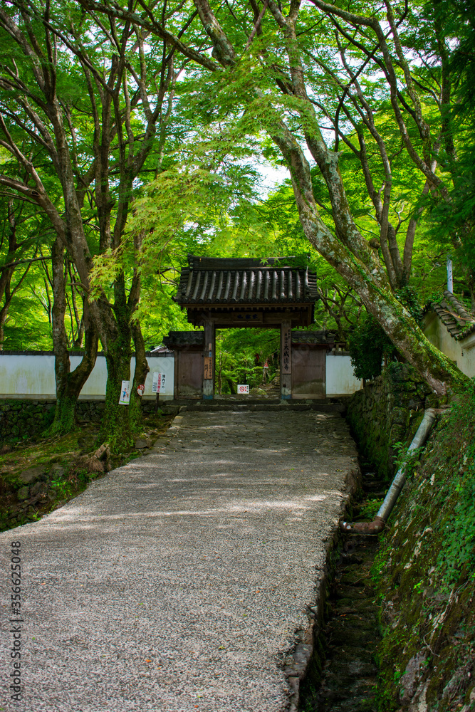 大威徳寺 夏の牛滝山 大威徳寺 夏の牛滝山
